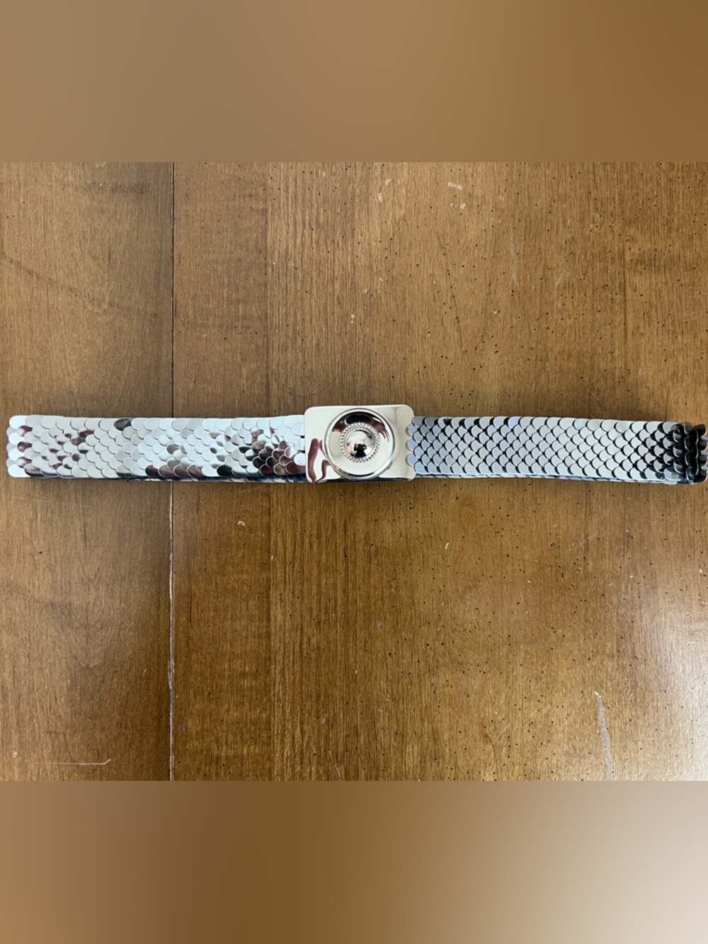 70s Silver Tone Fish Scale Belt‎ with Decorative Silver Buckle Vintage